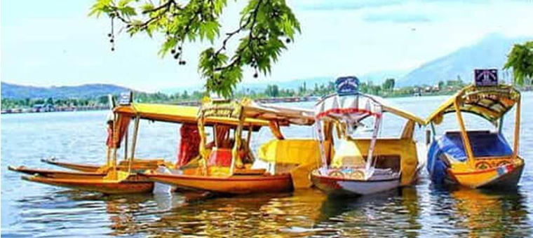 Exotic Kashmir with Dal Lake